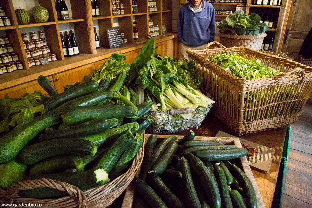 La intrarea în fermă o dată pe săptămână vin clienţii după legume ecologice, cu comandă în prealabil