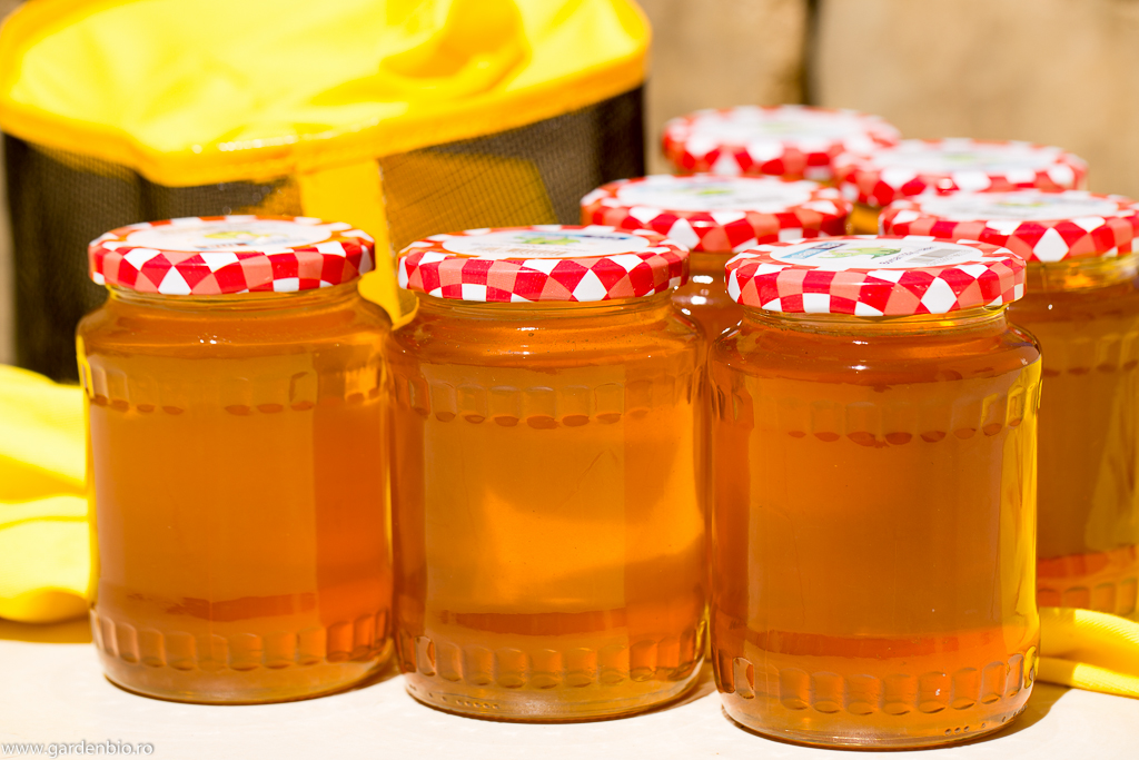 Prima de recoltă de miere cu un gust și aromă deosebite